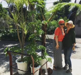 観葉植物 効果的 コーディネート バリ