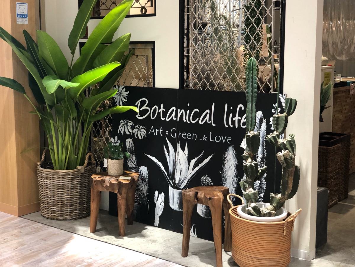 湘南平塚店限定 お家にボタニカルいかがですか Kaja